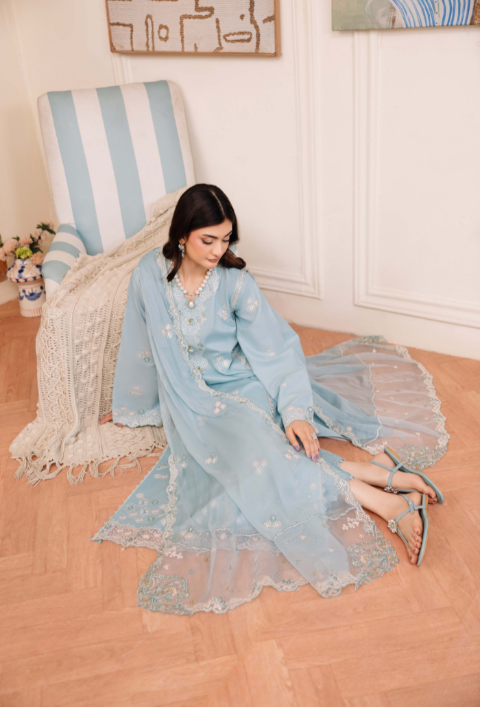 Mirha'2 - D05 Organza Pakistani Summer Dresses - Humdum - 4
