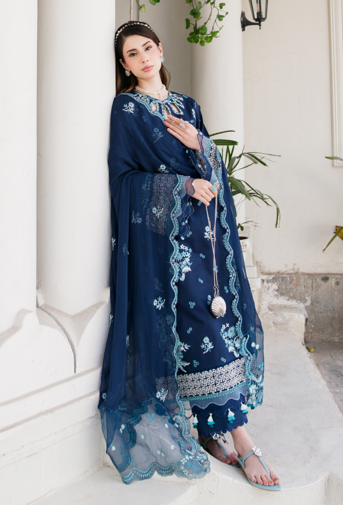Meraki'2 - D06 Organza Pakistani Summer Dresses - Humdum - 4