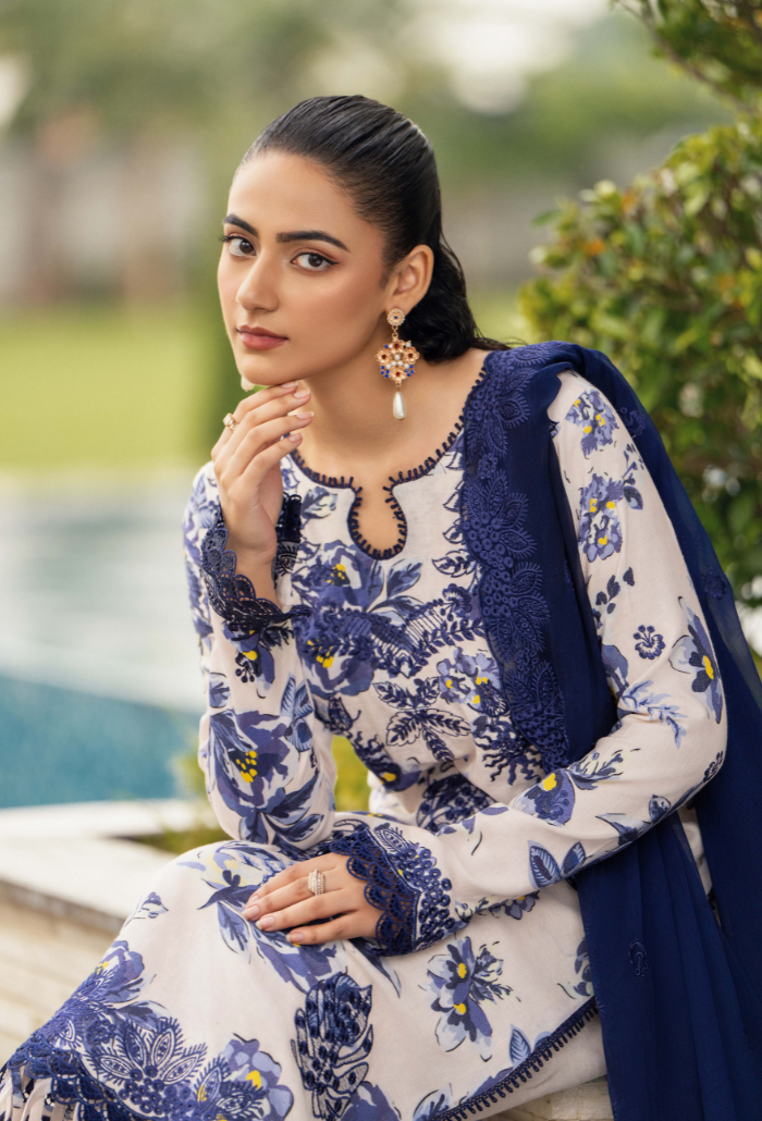Diva - D04 Chiffon Pakistani Winter Dresses - Humdum - 3