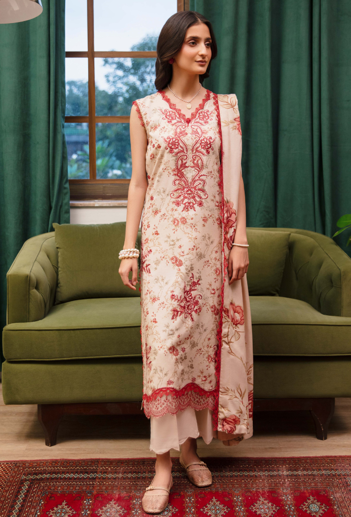 LAIBA - D01 Organza Pakistani Winter Dresses - Humdum - 1