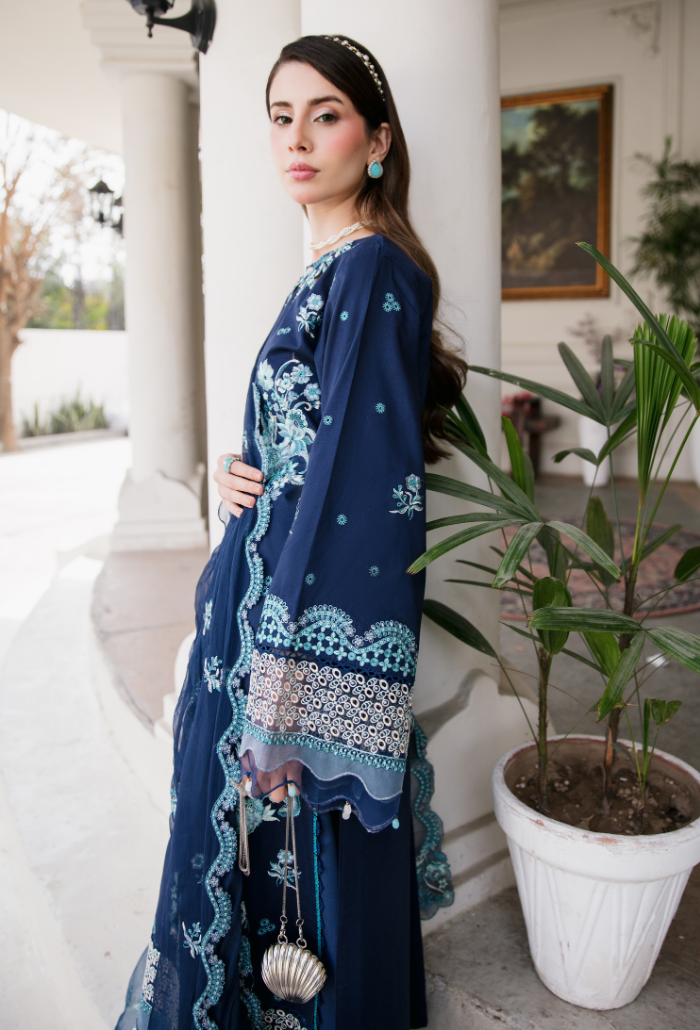 Meraki'2 - D06 Organza Pakistani Summer Dresses - Humdum - 5