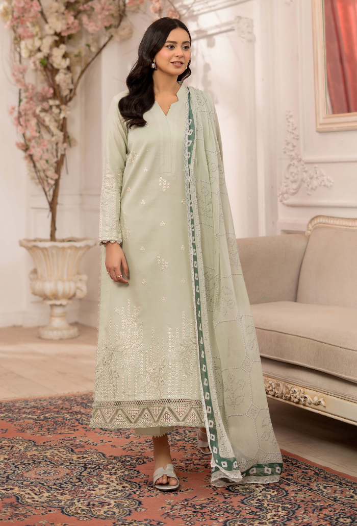 Inara-D10 Organza Pakistani Summer Dresses - Humdum - 1