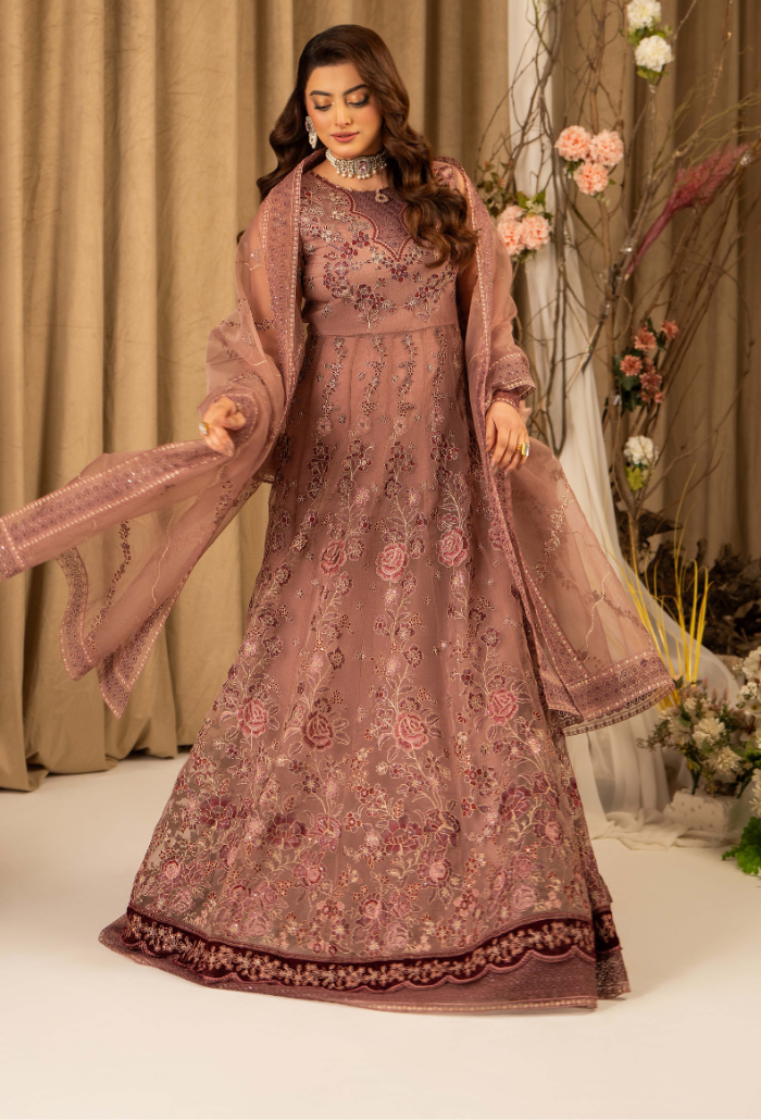 HOC - D12 Raw Silk Pakistani Formal Dresses - Humdum - 1