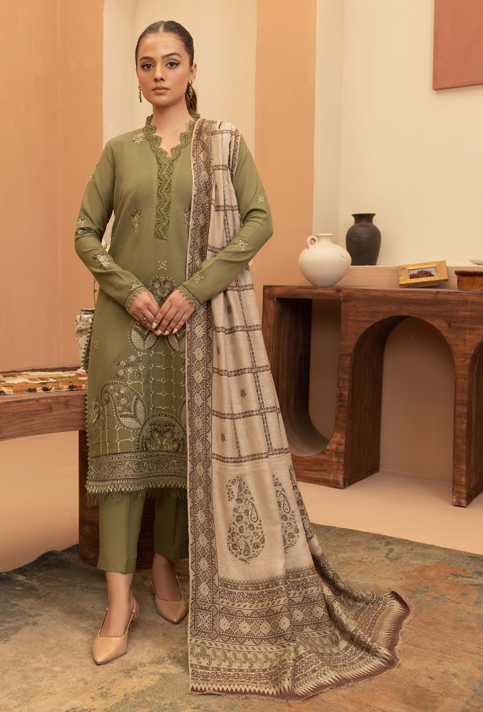 Carvan-D04 Premium Fabric Pakistani Winter Dresses - Humdum - 1