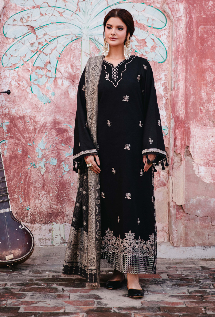 ONORA CHAPTER 2 - D01 Organza Pakistani Winter Dresses - Humdum - 2