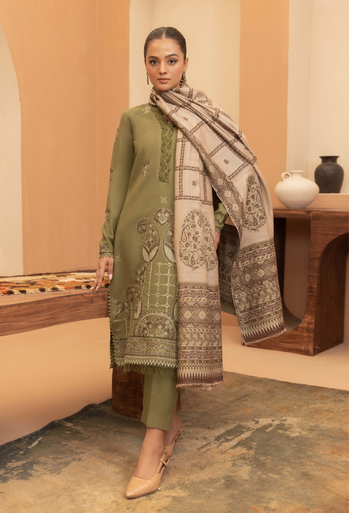 Carvan-D04 Premium Fabric Pakistani Winter Dresses - Humdum - 2