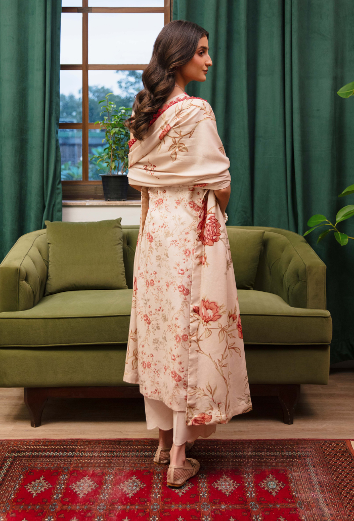 LAIBA - D01 Organza Pakistani Winter Dresses - Humdum - 2