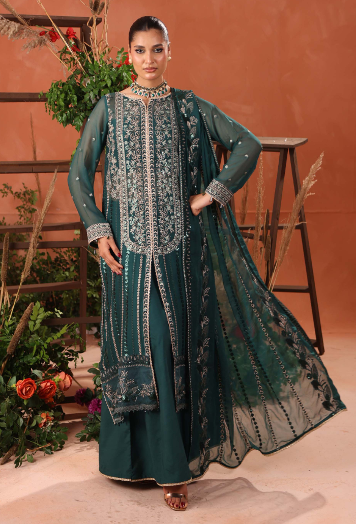 Heer-D03 Organza Pakistani Formal Dresses - Humdum - 2
