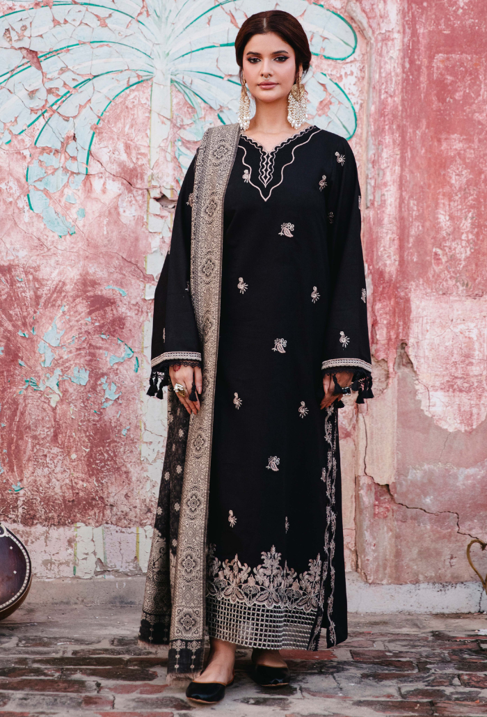 ONORA CHAPTER 2 - D01 Organza Pakistani Winter Dresses - Humdum - 1