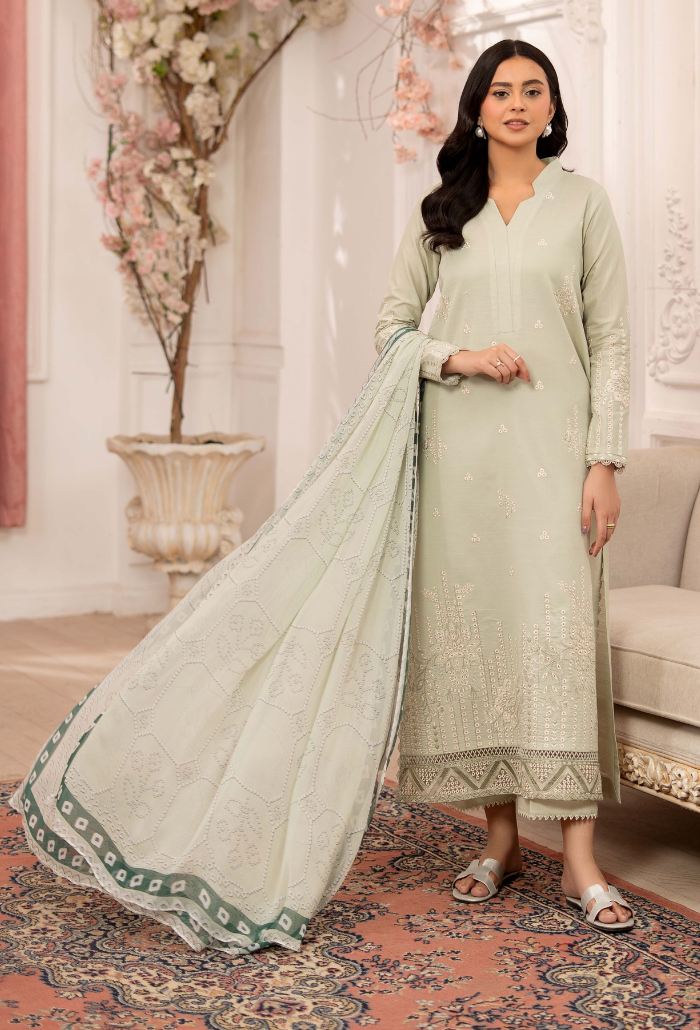 Inara-D10 Organza Pakistani Summer Dresses - Humdum - 2