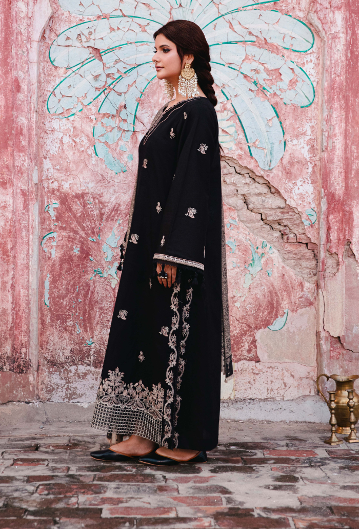 ONORA CHAPTER 2 - D01 Organza Pakistani Winter Dresses - Humdum - 3