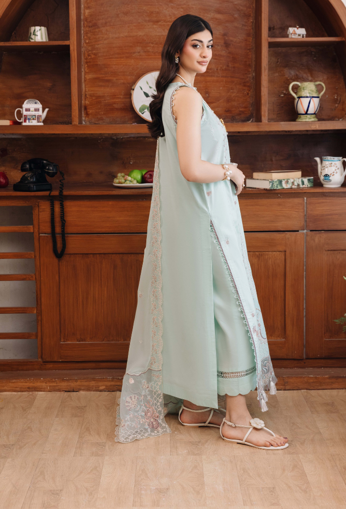 Mirha'2 - D04 Organza Pakistani Summer Dresses - Humdum - 3