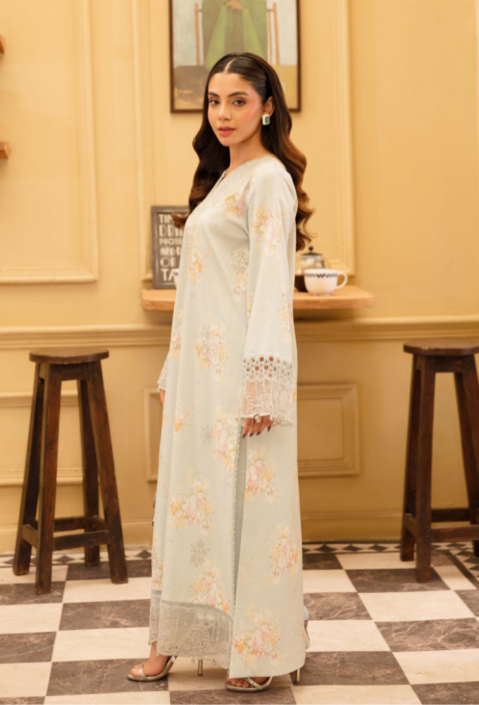 Senora'2 - D03 Organza Pakistani Summer Dresses - Humdum - 3