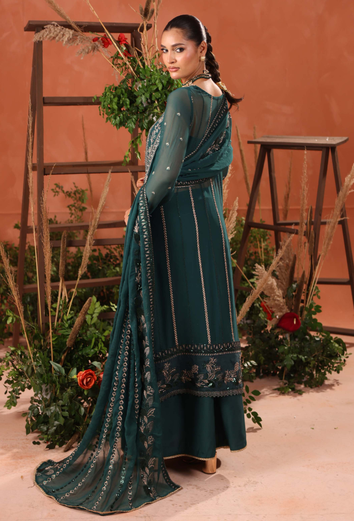 Heer-D03 Organza Pakistani Formal Dresses - Humdum - 3