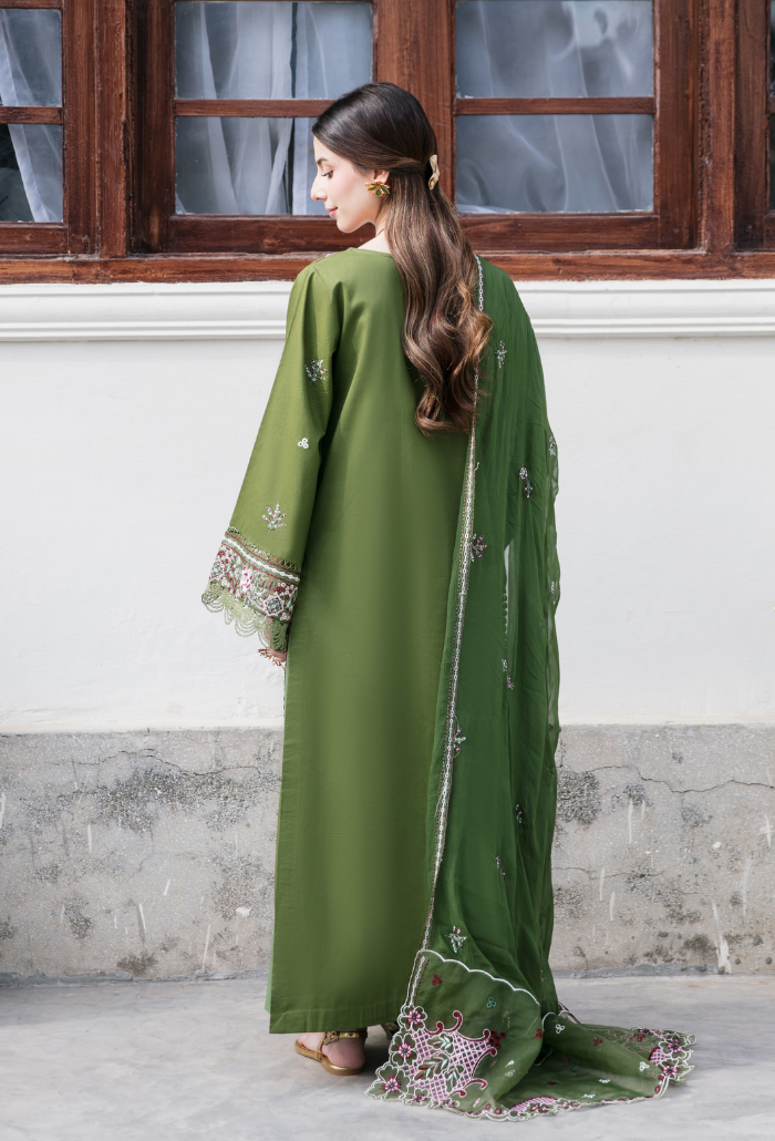 Meraki'2 - D09 Organza Pakistani Summer Dresses - Humdum - 2