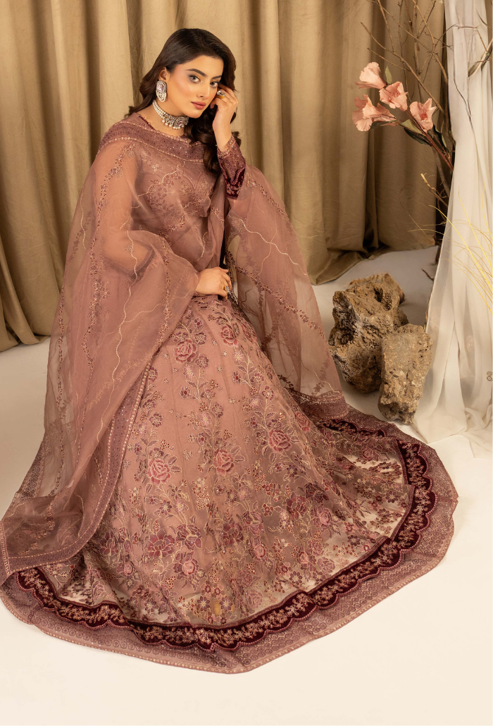 HOC - D12 Raw Silk Pakistani Formal Dresses - Humdum - 4