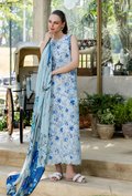 Scenery - Printkari D06 Chiffon Pakistani Summer Dresses - Humdum - 1
