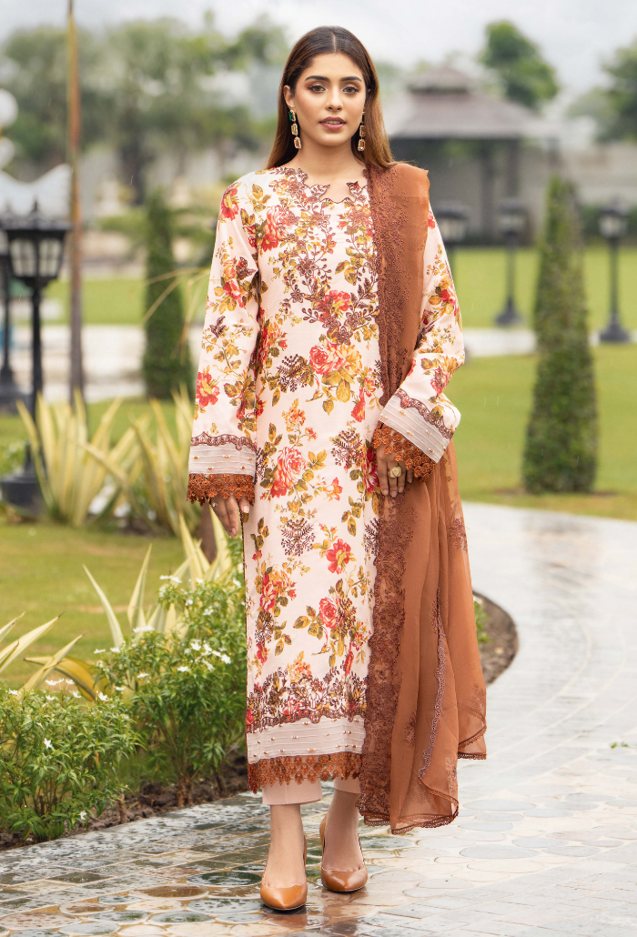 Diva - D06 Chiffon Pakistani Winter Dresses - Humdum - 1