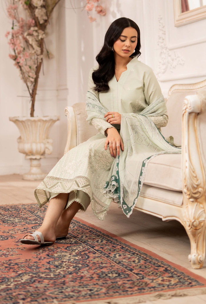 Inara-D10 Organza Pakistani Summer Dresses - Humdum - 4