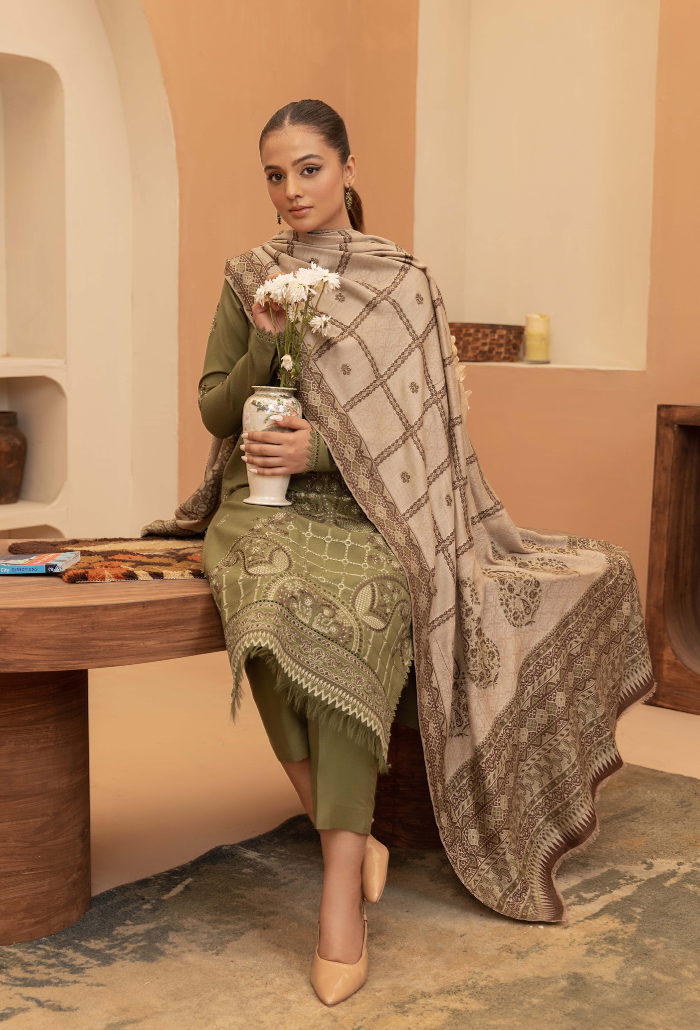 Carvan-D04 Premium Fabric Pakistani Winter Dresses - Humdum - 4