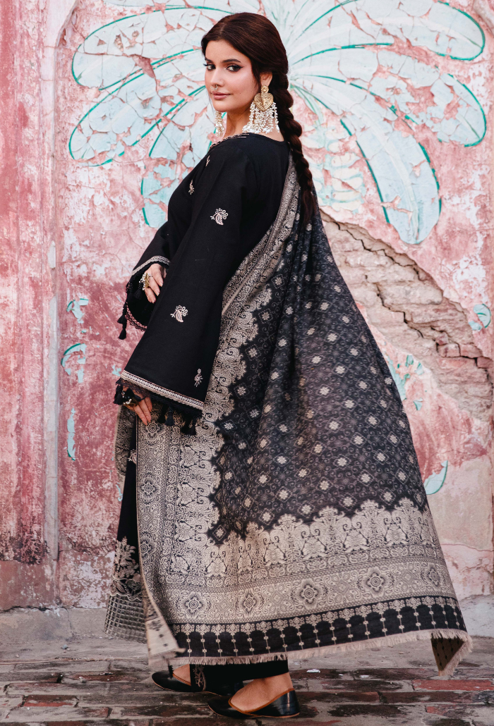 ONORA CHAPTER 2 - D01 Organza Pakistani Winter Dresses - Humdum - 4