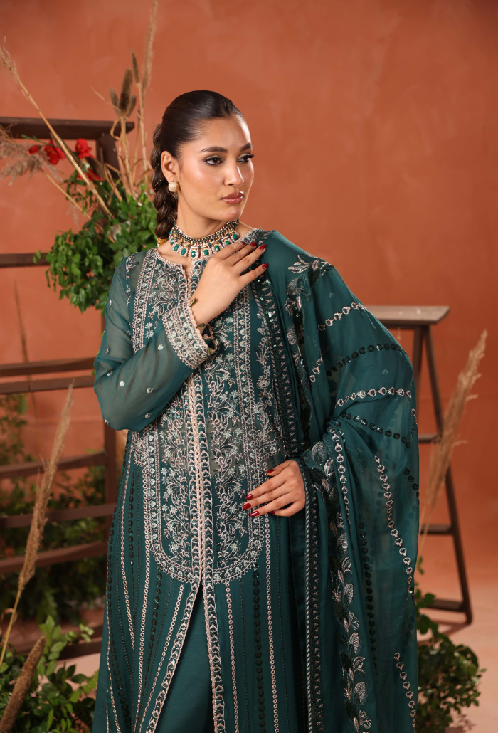 Heer-D03 Organza Pakistani Formal Dresses - Humdum - 4