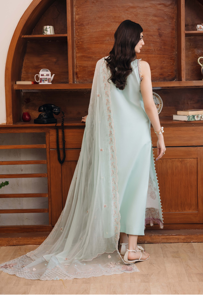 Mirha'2 - D04 Organza Pakistani Summer Dresses - Humdum - 4