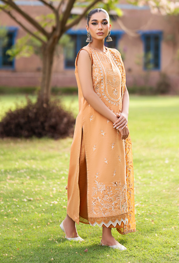 Selin - D07 Chiffon Pakistani Summer Dresses - Humdum - 1