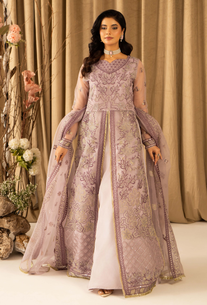 HOC - D14 Raw Silk Pakistani Formal Dresses - Humdum - 1