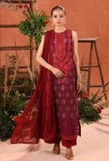 Heer-D01 Organza Pakistani Formal Dresses - Humdum - 1