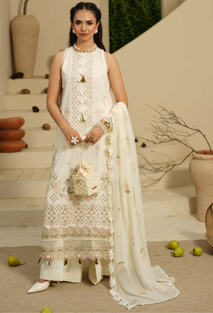Mushak - D02 Chiffon Pakistani Winter Dresses - Humdum - 1