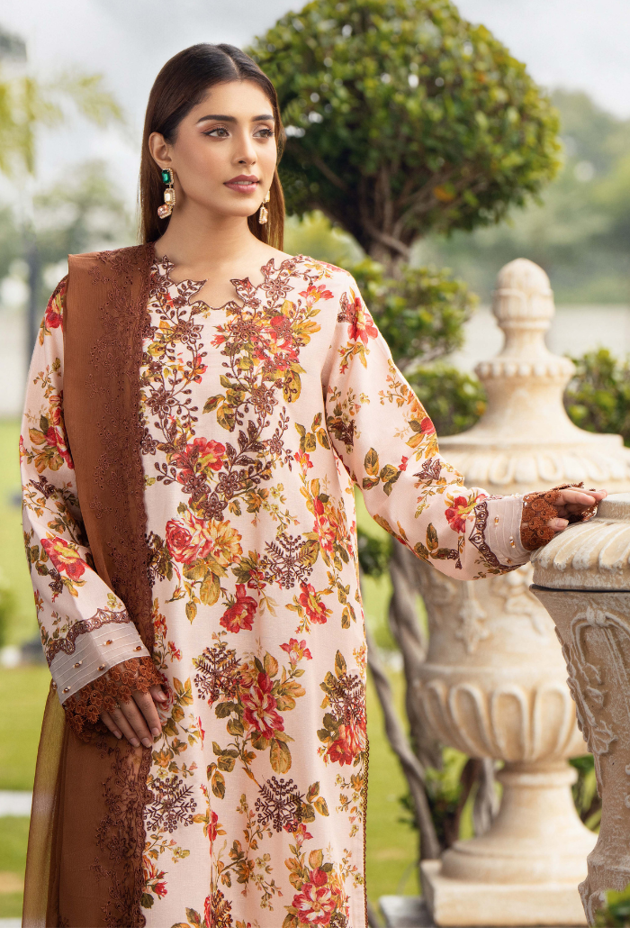 Diva - D06 Chiffon Pakistani Winter Dresses - Humdum - 2