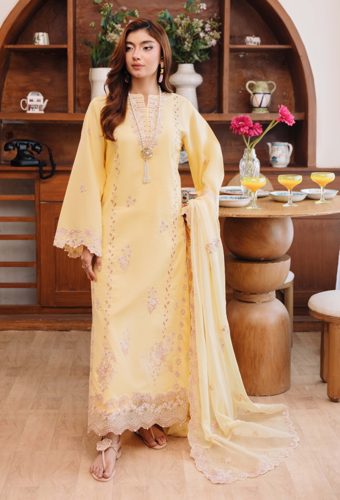 Mirha'2 - D03 Organza Pakistani Summer Dresses - Humdum - 1