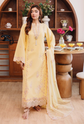 Mirha'2 - D03 Organza Pakistani Summer Dresses - Humdum - 1