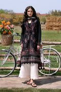Osyra Embroidered Pakistani Dress