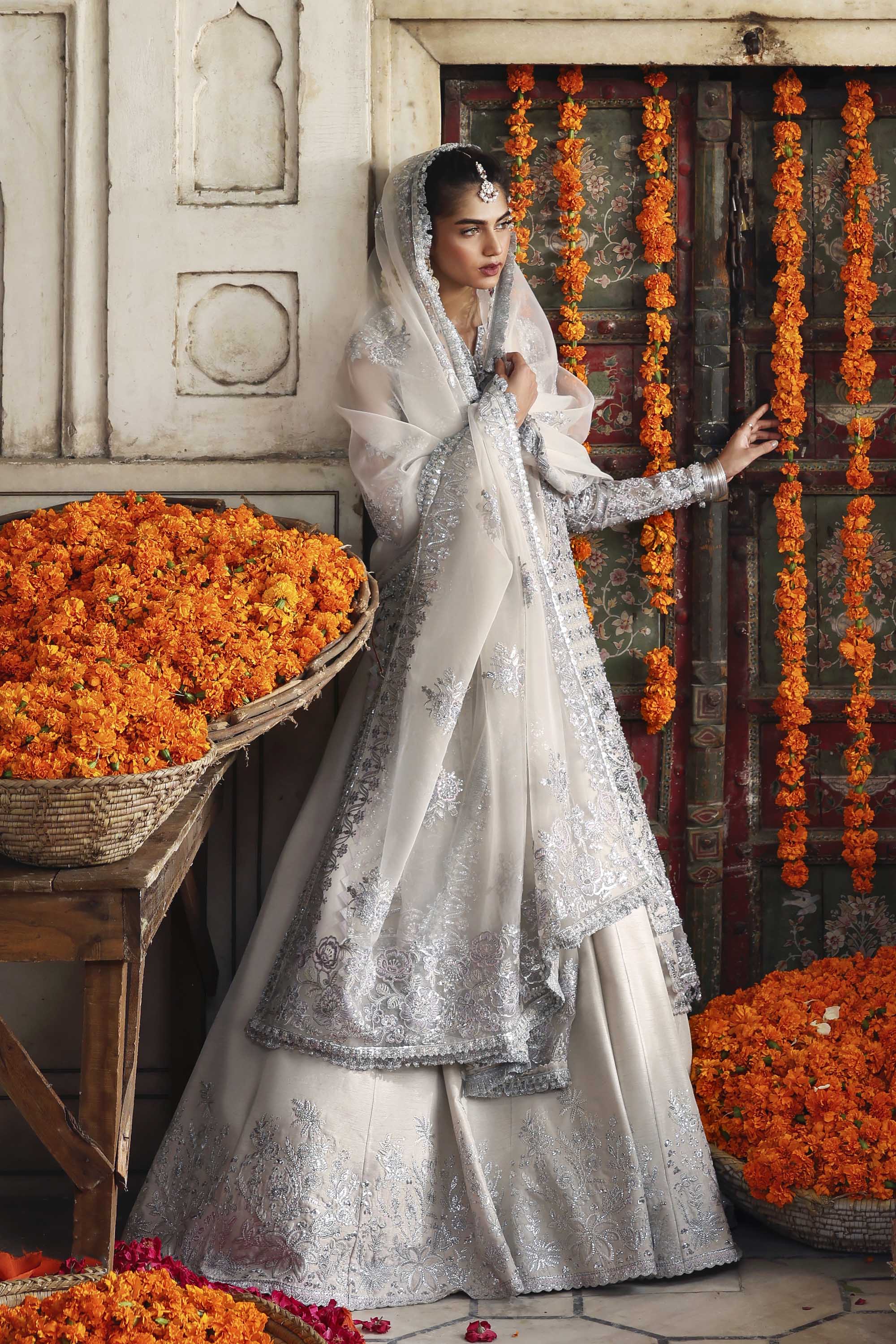 Safina