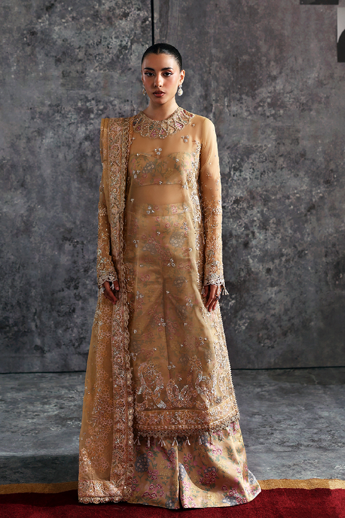 LUSTRE Organza Pakistani Formal Dresses
