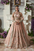 Sanoura Russian Grip Pakistani Formal Dresses
