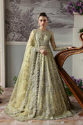 Mintara Embroidered Pakistani Dress