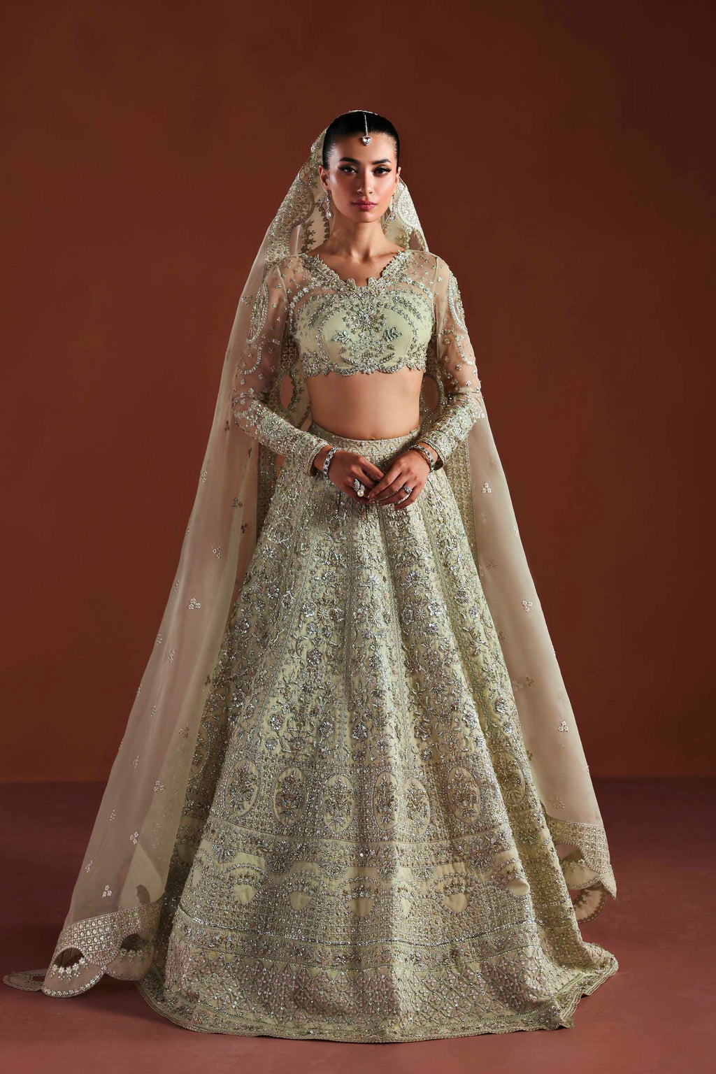 Fable Organza Pakistani Formal Dresses