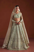 Fable Organza Pakistani Formal Dresses