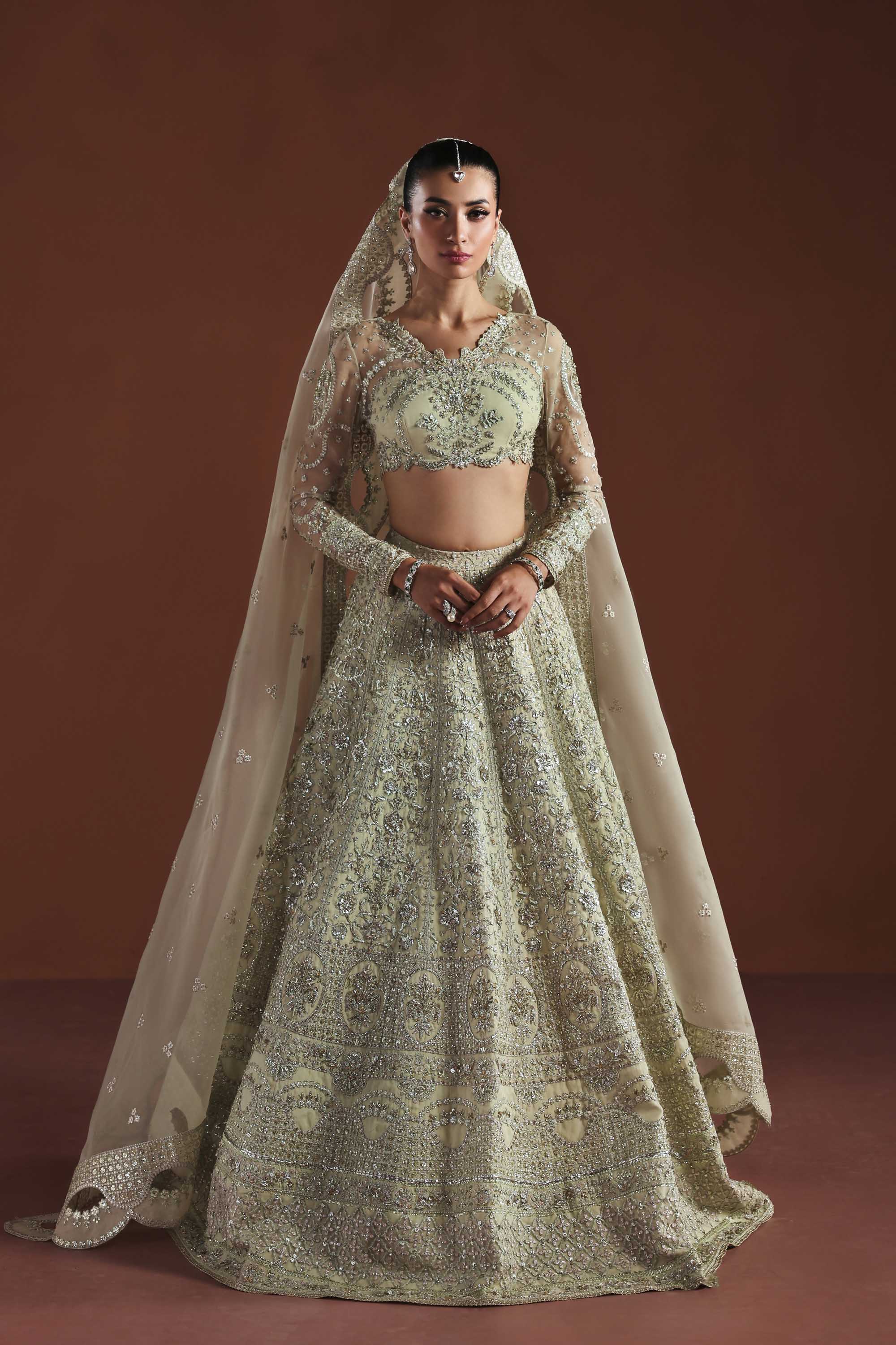 Fable Organza Pakistani Formal Dresses
