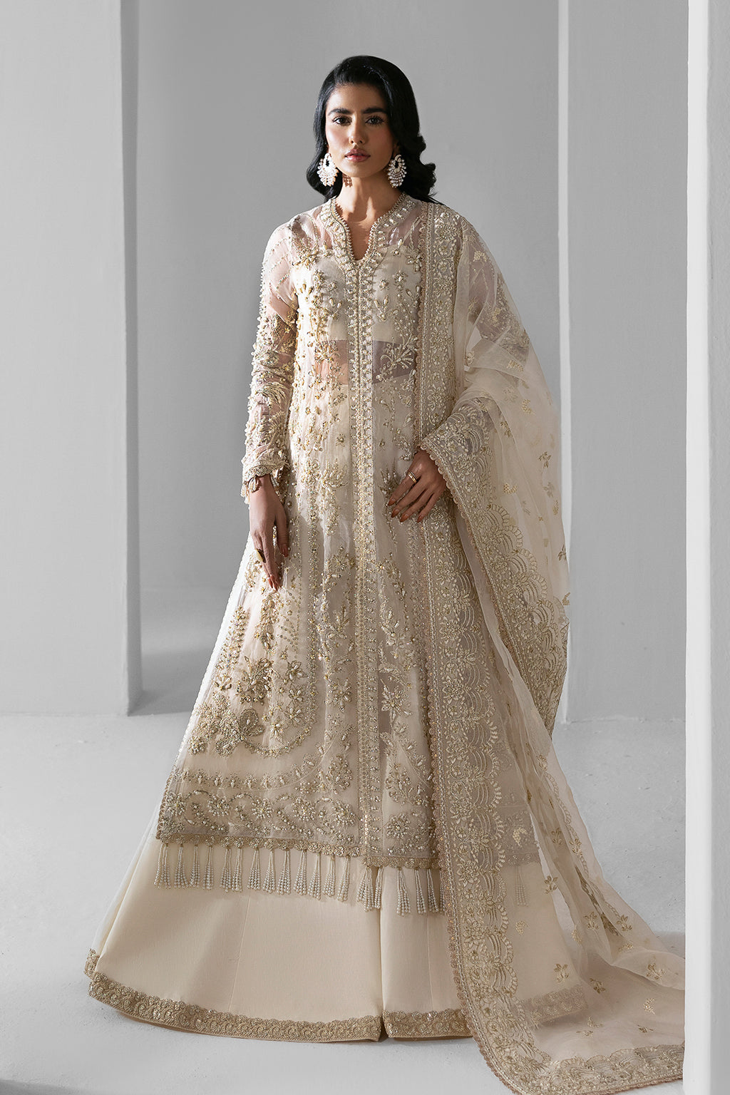 Eclipse Raw Silk Pakistani Formal Dresses