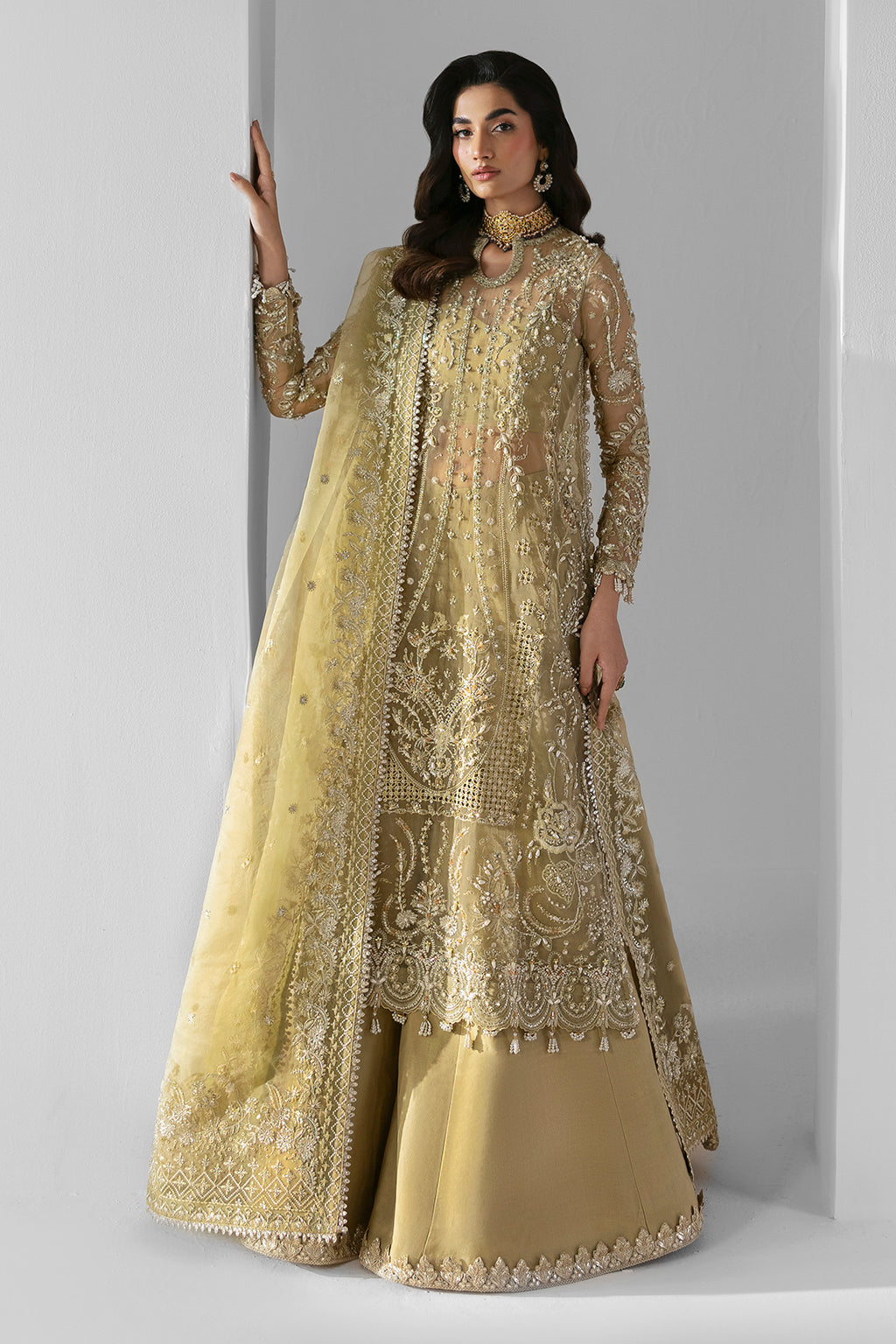 Elixir Embroidered Pakistani Dress
