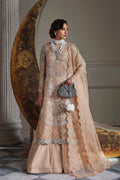 Aabroza Raw Silk Pakistani Formal Dresses
