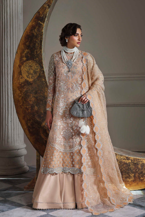 Aabroza Raw Silk Pakistani Formal Dresses