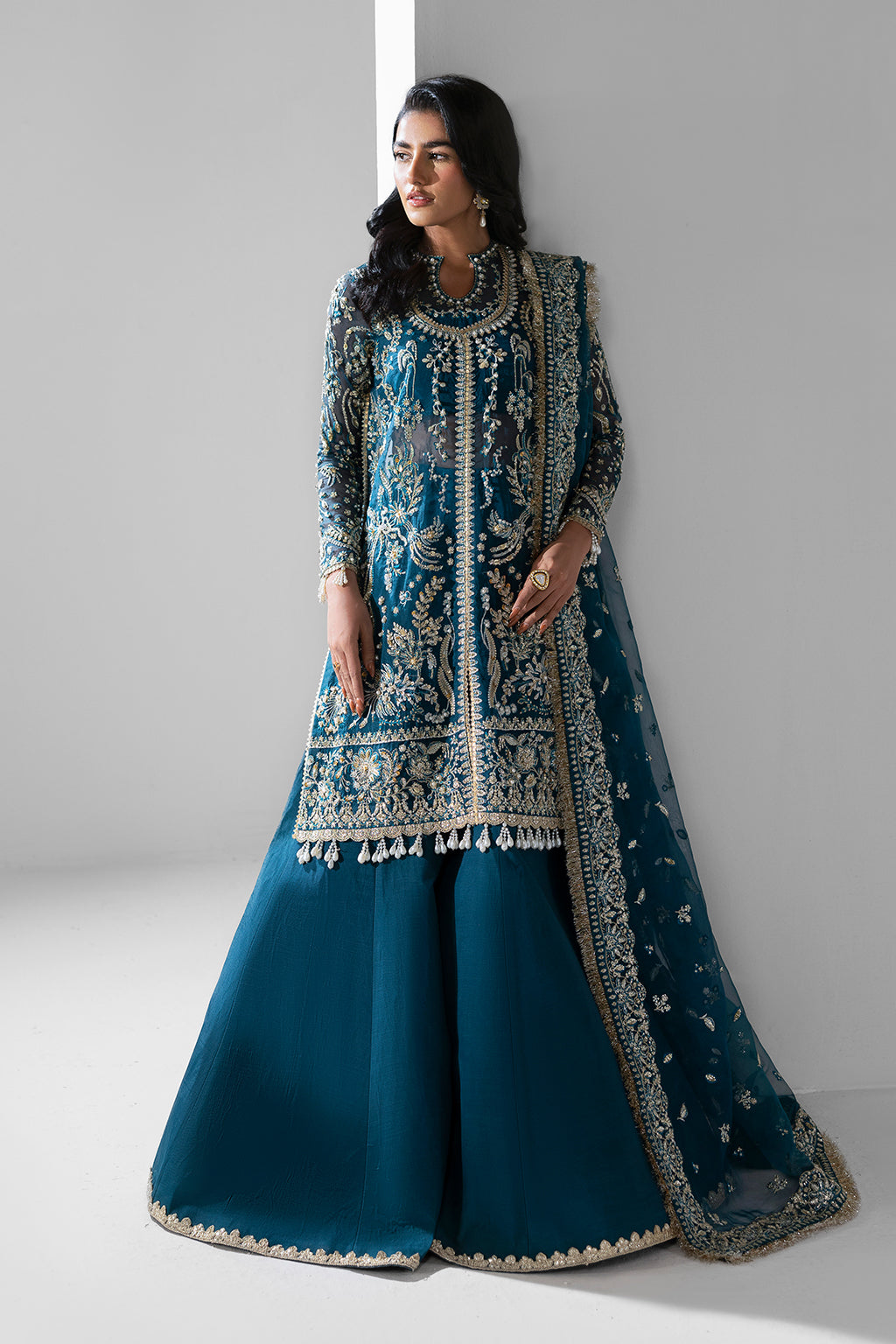 Twilight Raw Silk Pakistani Formal Dresses