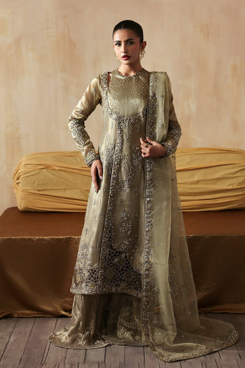 Areezah Organza Pakistani Formal Dresses