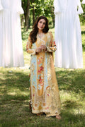 LEIAL Organza Pakistani Summer Dresses - Afrozeh - 1