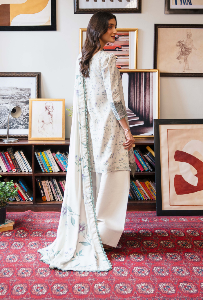 LAIBA - D02 Organza Pakistani Winter Dresses - Humdum - 2